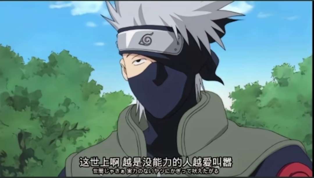 你是一名电子文盲