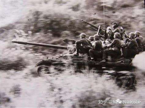 对越自卫反击战历史课本上没有的战争