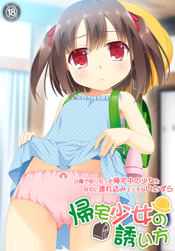 补档帰宅少女の誘い方PC/汉化硬盘版/铜矿/拔作/十年起步 最高死刑/ADV/OneDrive