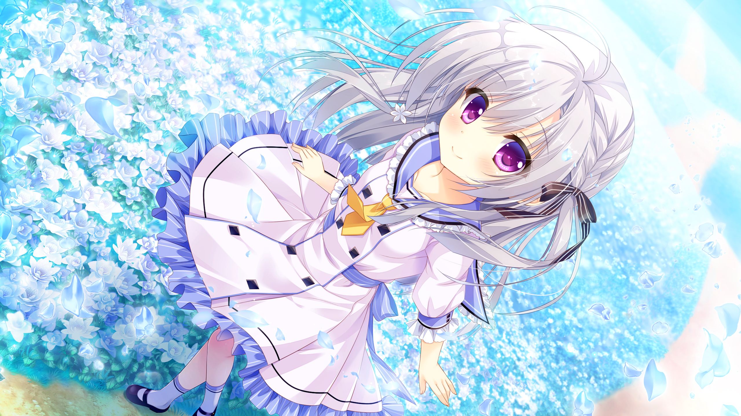 【极速下载/KRKR】不败世界与终焉之花枯れない世界と終わる花-美好而纯真的瞬间