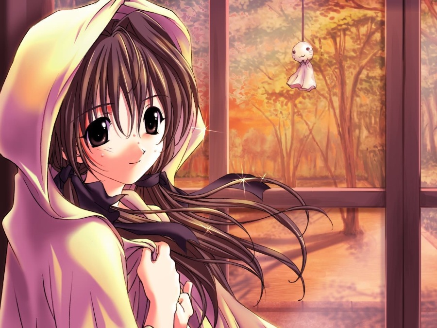 【ONS PC PSP】《秋之回忆系列大合集!》全(伪)系列(本传/续编/外传)【51.9GB】(全汉化)