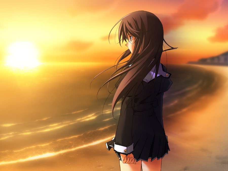 【ONS PC PSP】《秋之回忆系列大合集!》全(伪)系列(本传/续编/外传)【51.9GB】(全汉化)