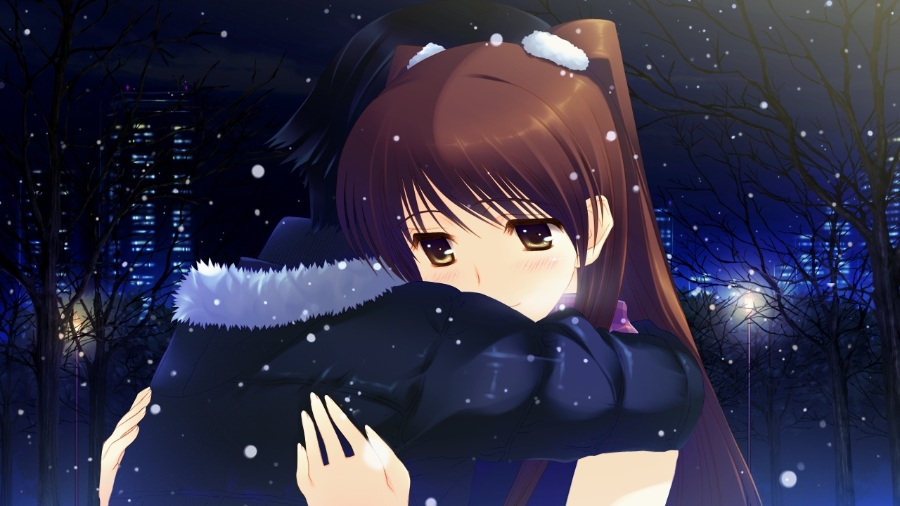 《白色相簿2 》（WHITE ALBUM2）
