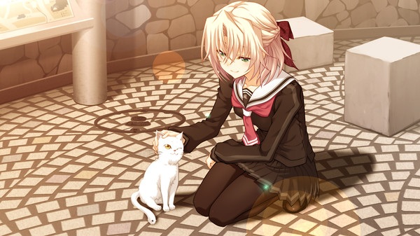 【ONS PC PSP】《秋之回忆系列大合集!》全(伪)系列(本传/续编/外传)【51.9GB】(全汉化)