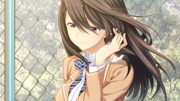 【ONS PC PSP】《秋之回忆系列大合集!》全(伪)系列(本传/续编/外传)【51.9GB】(全汉化)