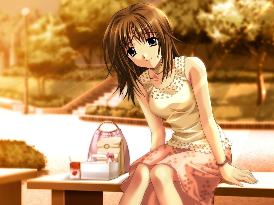 【ONS PC PSP】《秋之回忆系列大合集!》全(伪)系列(本传/续编/外传)【51.9GB】(全汉化)