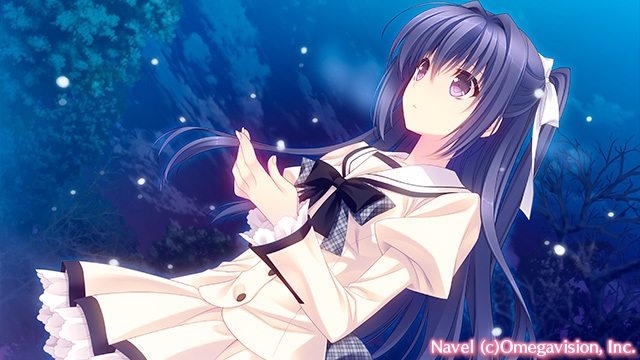 近月少女的礼仪2.2 A×L+SA