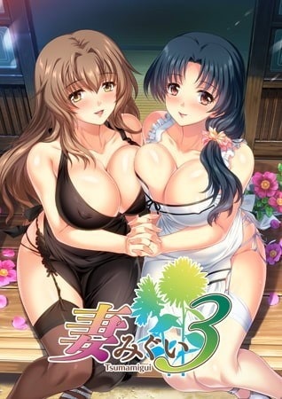 [MG] 妻みぐい3<完結>[中文](ZIP 2.19GB/ADV)