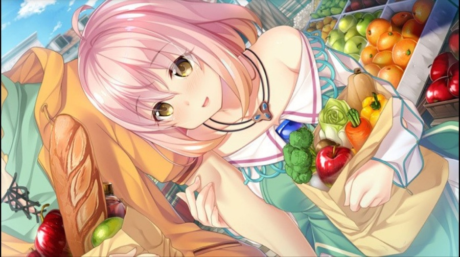 【大作】HaremKingdom -ハーレムキングダム- 初回豪華版