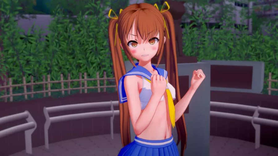 继承者 Ver0.15「SLG」「中文」「PC」「安卓」