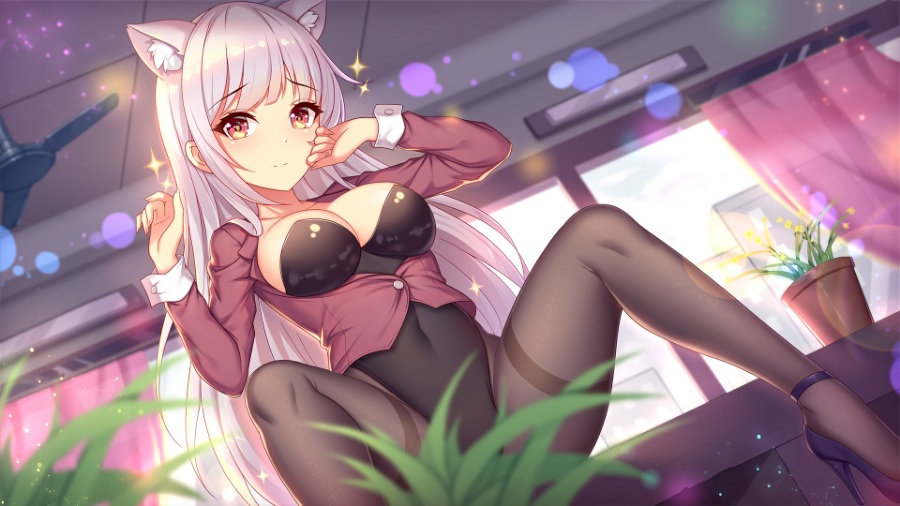 SLG/中文女孩GAME全系列8款游戏合集 官方中文1.3G/新作