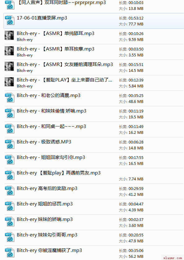 中文音声Bitery合集~40多倍的快乐