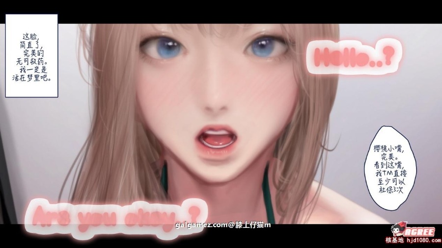 【2D/汉化/全动态】韩国大师KIDMO：阿狸圆交COS！动画+漫画汉化步兵版[新作/1.4G/度盘]