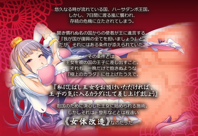 女體狂亂プリンセス