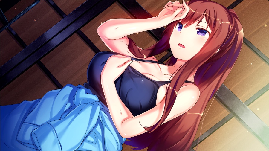 在同一屋檐下的羽翼【PC/KRKR/汉化】