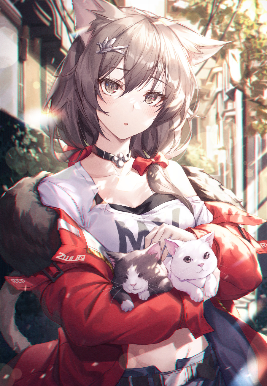 猫耳少女第二期（60p）（211MB）个人整理