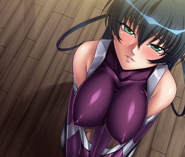 【2D/汉化/全动态】对魔忍：全系列鲤鱼番薯13部中文合集 [阿莎姬/雪风]【5.4G/全CV】