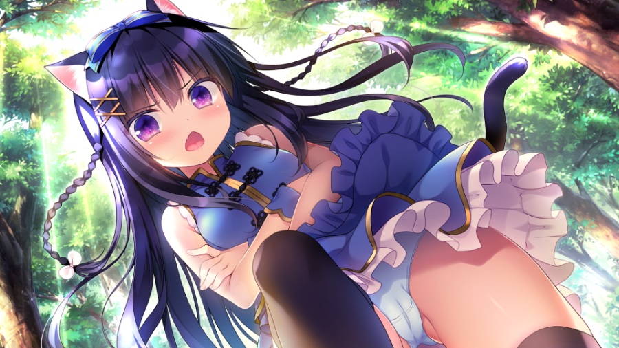 [PC/ADV/官方中文] ISLAND DIARY [汉化硬盘版][简中/繁中/英文][RAR 1.27GB]