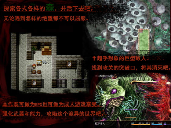 [PC/RPG/官方中文] 紅ずきんの森 Ver1.4 [简中][.7Z 102M]