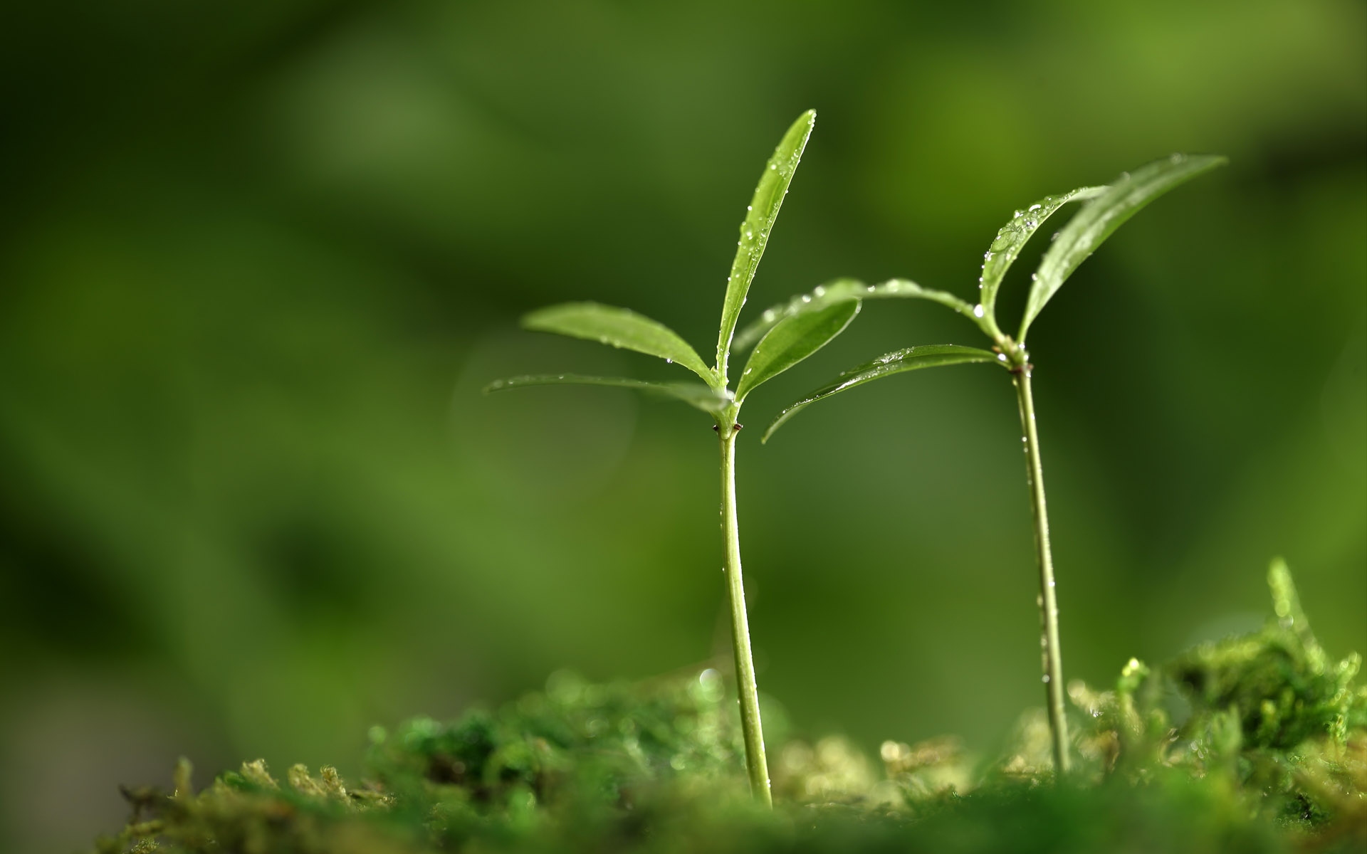 有偿求游戏推荐