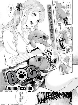 ドッグ|犬
