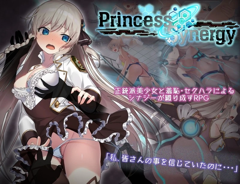新步兵[探索RPG/战斗H/动态] 公主协同效应 プリンセスシナジー Princess Synergy v1.0.28 内嵌AI汉化版 去码版+全回想存档