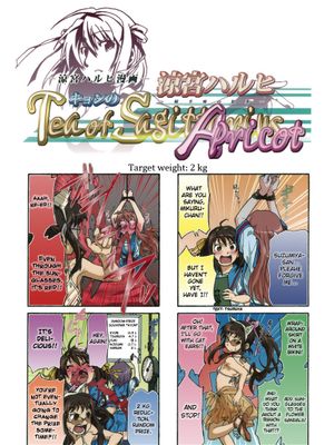 (c76)涼宮ハルヒ キョンのTea of Sagittarius Apricot