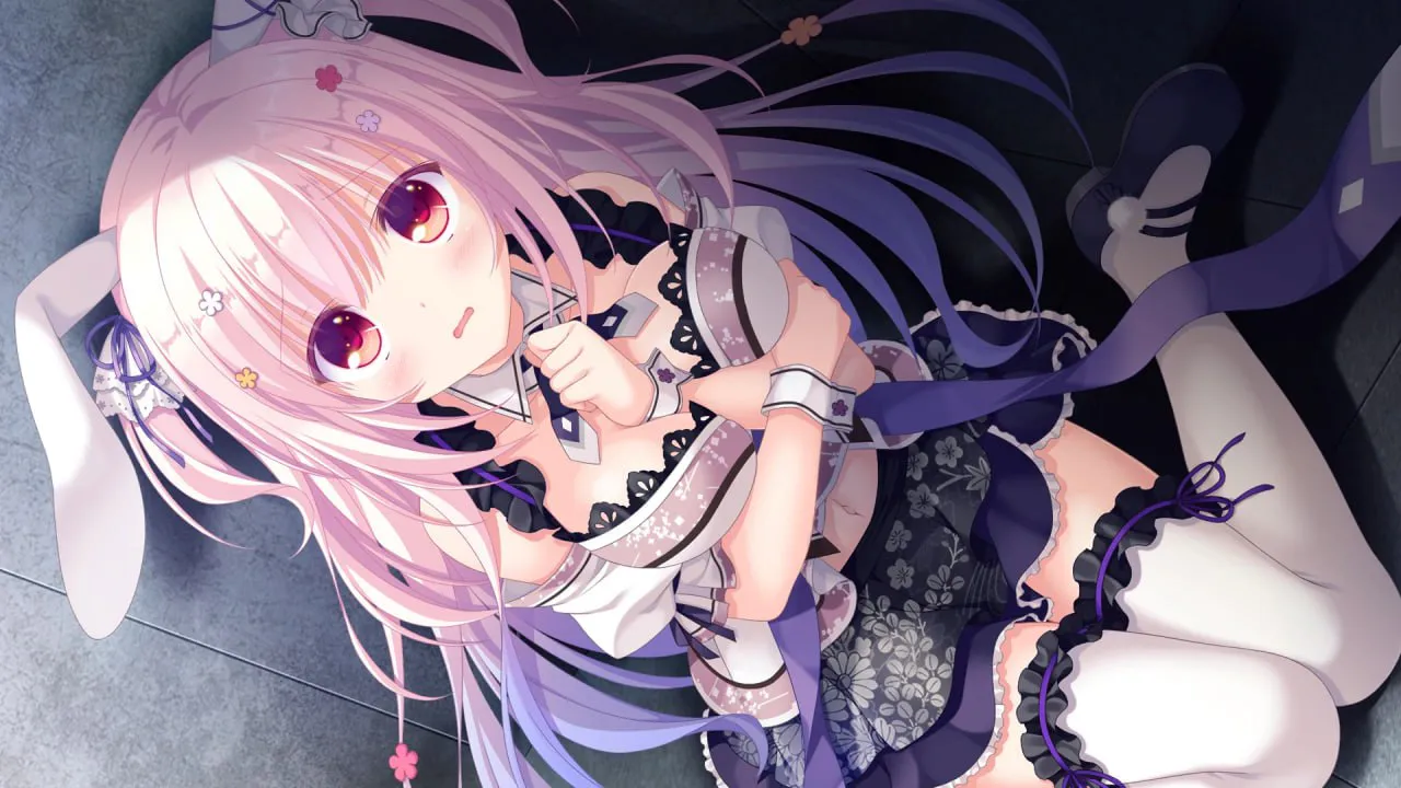 【PC/ADV/官方中文/步兵/萝莉猫娘】猫忍之心系列---猫忍えくすはーと   【1+2+3 + 各后日谈 +  {SPIN!1+2+LOVEPLUS} 】