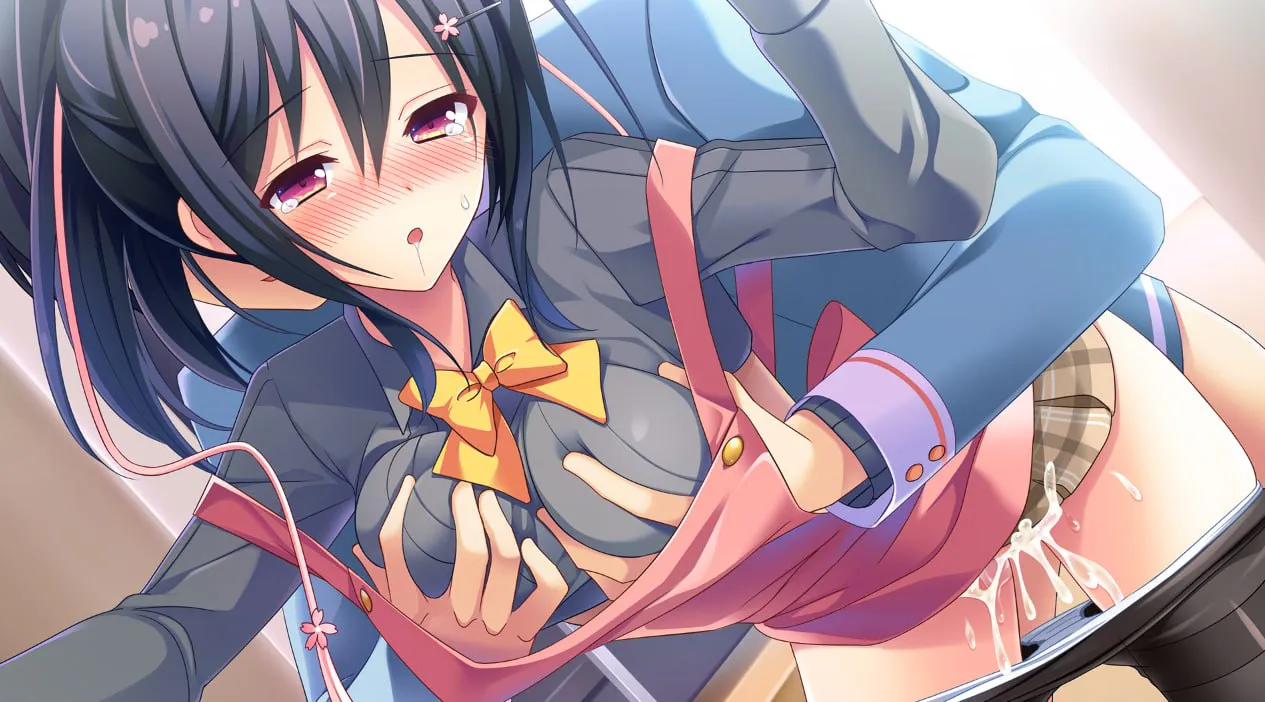 【日式ADV/恋爱/制服】寄宿之恋 かりぐらし恋愛 v1.0.0 官中无码+全CG存档【PC/3G】