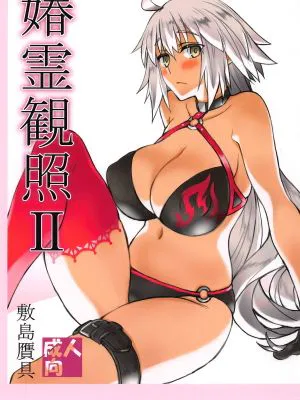 (C96)  媋霊観照II (Fate/Grand Order)|媋灵观照II