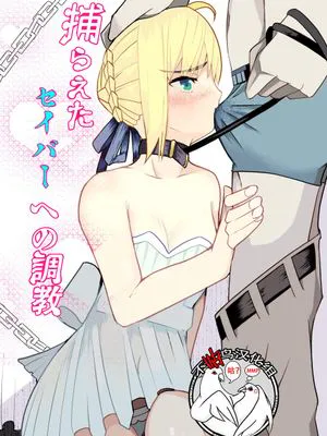 捕らえたセイバーへの調教 (Fate/stay night) [中国翻訳]