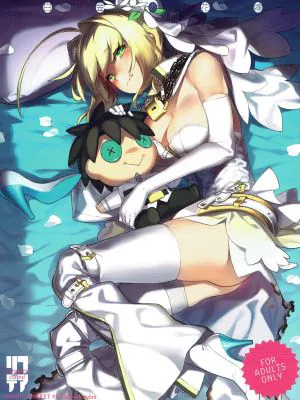 (C93) PLATINUM BRIDE 白金の花嫁 (Fate Grand Order)|白金新娘 (Fate Grand Order)