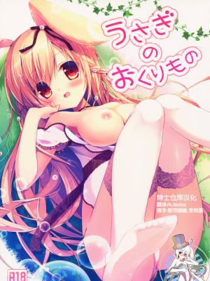うさぎのおくりもの [中国翻訳]|兔子的礼物