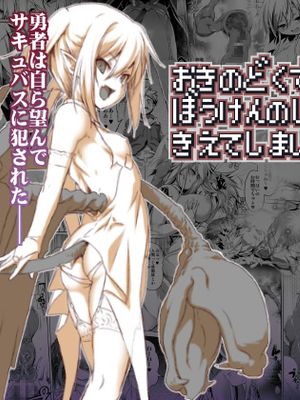 おきのどくですがぼうけんのしょはきえてしまいました|很抱歉，但冒险之书已经丢失了