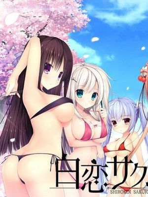 白恋サクラ＊グラム|白恋樱花＊Gram