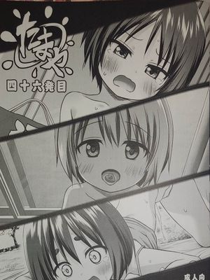 たまや四十六発目|玉屋第四十六发