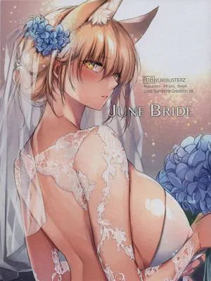 (C94) JUNE BRIDE マタニティフォトブック|(C94) 六月新娘 孕妇相册