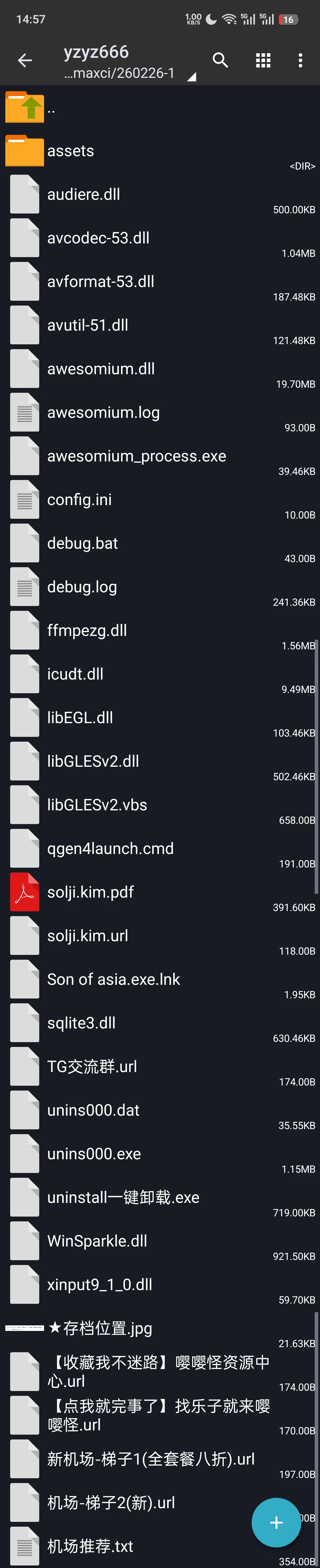 求助亚洲之子游戏如何启动...