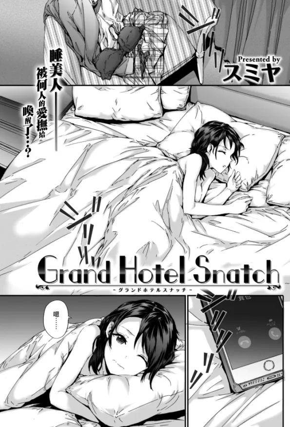 grand hotel snatch|豪华酒店抢劫