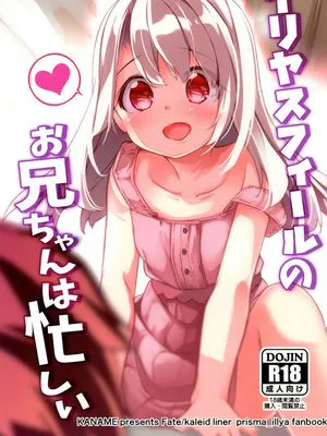 (C97) イリヤスフィールのお兄ちゃんは忙しい (Fate/kaleid liner プリズマ☆イリヤ)|(C97) 伊莉雅丝菲尔的哥哥很忙 (Fate/kaleid liner 魔法少女伊莉雅)