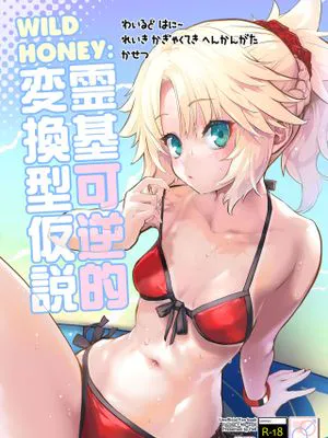 WILD HONEY:霊基可逆的変換型仮説 (Fate/Grand Order)|WILD HONEY:灵基可逆的变换型假说 (Fate/Grand Order)