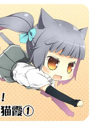 什喵!是猫猫霞