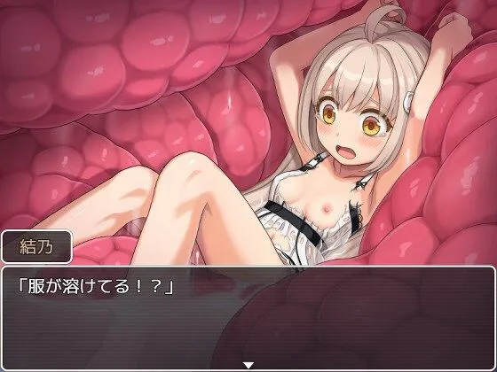 「PC」[新作][全CG存档]幻想馆的新娘 vol.2 ～被软禁的JK想从变态们手中逃出去！ 幻想館の花嫁 vol.2 ～軟禁されたJKは変態共から逃げ出したい！[汉化]