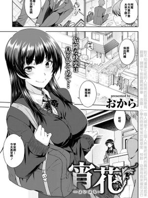宵花|宵花