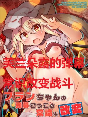 フランちゃんの弾幕ごっこの常識を改変してみた|试着修改了芙兰酱弹幕游戏的常识